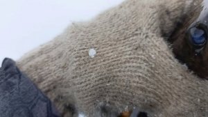 Рыбалка 2026 г . проверка жерлиц на налима! рыбалка в Карелии