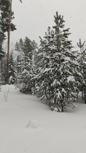 Прикамье завалило снегом!