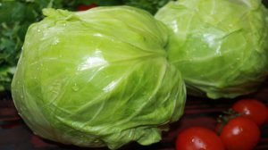 Два рецепта из молодой Капусты, которые освежат ваше меню.