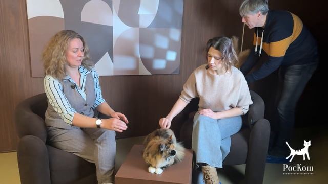 РосКошный путь к успеху / Анонс рубрики