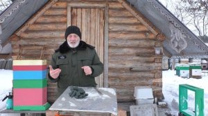 ЛУЧШАЯ ПОРОДА ПЧЁЛ как определить.