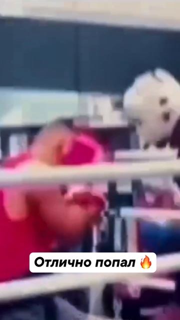 Вот это удары 😮 смотреть онлайн