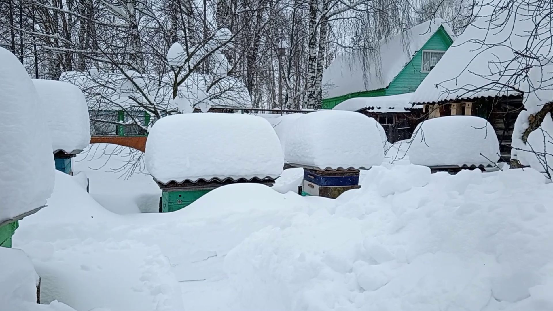 Состояние пасеки на 01.02.2026 года смотреть онлайн