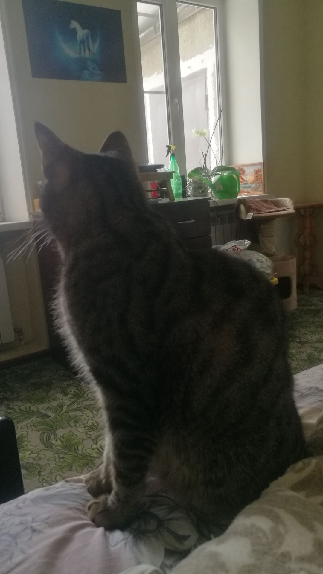 Февральский ужин