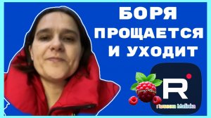 Бровченко _Боря прощается и уходит _Обзор _Семья Бровченко _Колесниковы _Деревенский дневник