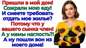 Свекровь требовала квартиру! Я вынесла ей с сыночком баулы! | Истории Из Жизни | Реальная История