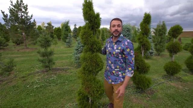 ФИЛЬМ О САДОВОМ ЦЕНТРЕ «КАВЕРИНО» 2017 г. ФИЛЬМ О САДОВОМ ЦЕНТРЕ «КАВЕРИНО» 2017 г.