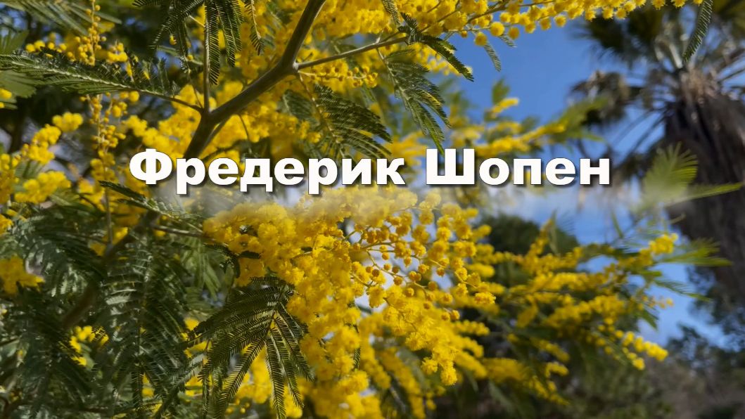 Фредерик Шопен. Ноктюрн №1, классическая музыка. Музыка для души смотреть онлайн