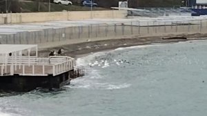 Анапа. С февралëм пришло резкое похолодание. Набережная. 1 февраля 2026.