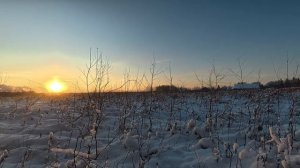 Прогулка 01.01.2026