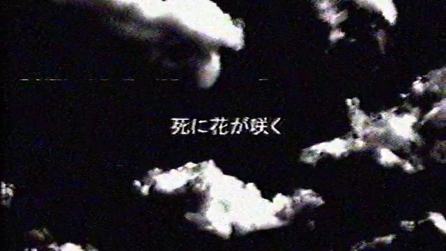 RVA: AMTV_1994 смотреть онлайн