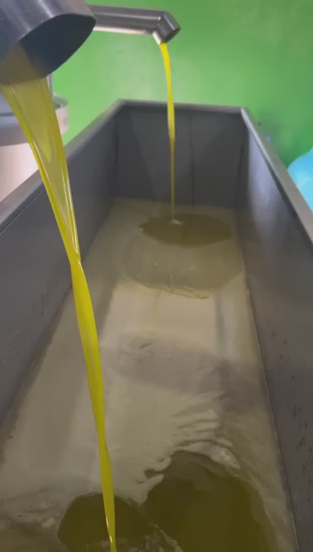 Оливковое масло смотреть онлайн