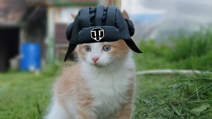 Веселимся Во Взводе С Подписчиками Tanks Blitz Tanks Blitz Танкиблиц Танки Блиц Танк