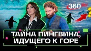 Куда направлялся пингвин-нигилист? Ламповый вечер. Ягода и Степанищев