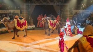 🌴 «Тропик шоу» в Донецке: экзотика, звёзды цирка и незабываемые приключения на одной сцене!