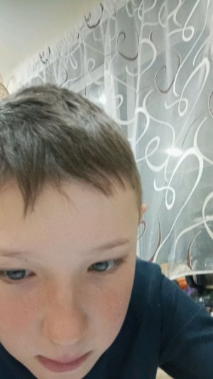 быт техника