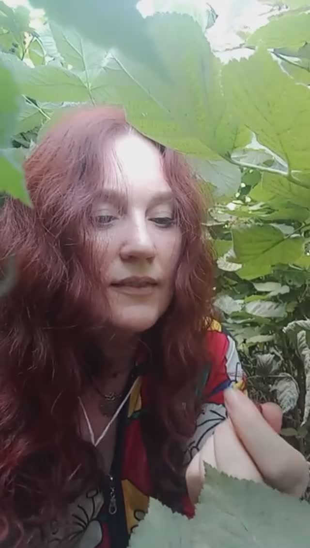 Правило поедания малины