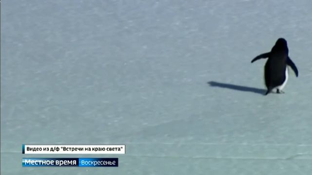 Обзор самых популярных роликов в интернете за последний месяц от Евгении Рудаковой смотреть онлайн