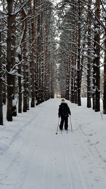 Ленинск-Кузнецкий смотреть онлайн