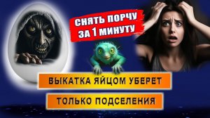 Выкатка яйцом: снимите сглаз, порчу самостоятельно за 1 минуту! | Евгений Грин