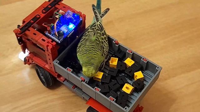 Fischertechnik попугай в грузовике