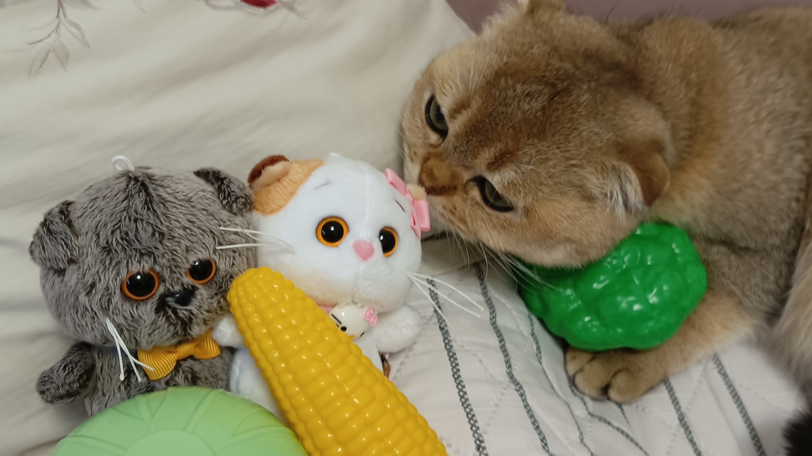 готовим пиццу 🍕