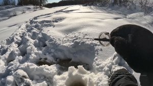 ОКУНЬ ЗИМОЙ на безмотылку