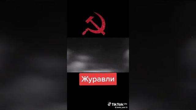 fd8a83ba372ec4471f633b5094c5e15c_1769949712691.mp4