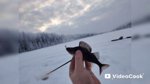 Глухозимье