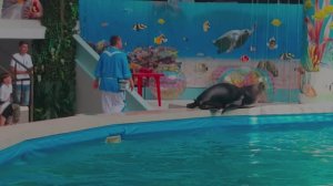 отдых в Крыму