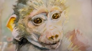 Люське пришла посылка с УДИВИТЕЛЬНЫМИ ПОРТРЕТАМИ!