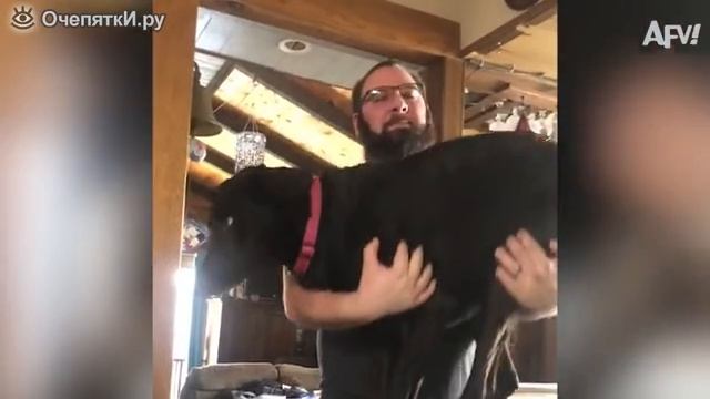 новый год с новыми приколами смотреть онлайн