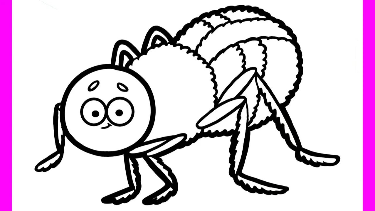 Мультик — раскраска для детей ПАУЧОК. Учимся как рисовать НАСЕКОМЫХ // Мультики для детей и малышей