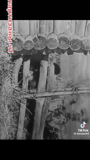 b236a4c1785d22ac76499c44ba4b2ddc_1769949186174.mp4