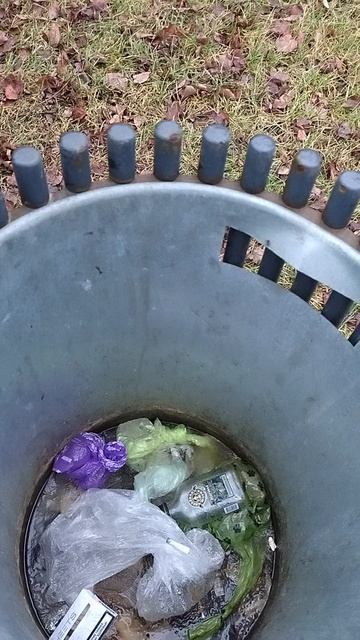 №1035 Комсомольский проспект. 18 ноября 2025 г., 16:03:30 VID_20251118_160319086 смотреть онлайн