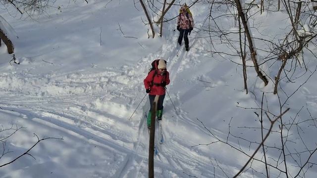 Нагорная дубрава 31.01.26 смотреть онлайн