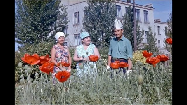 Саратов разноцветный