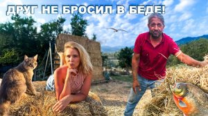 УРАБОТАЛИСЬ В НОЛЬ! Тонна сена выжала все соки! Первый автополив и купание хвостиков. Жизнь вдеревне