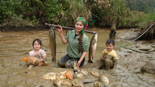 Ловлю гигантскую рыбу, а затем везу ее на рынок для продажи. Уход за поросятами. Дуонг смотреть онлайн