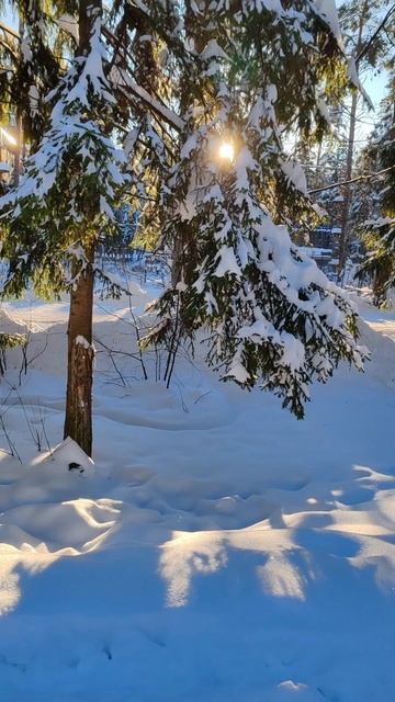 Красота ❄️☀️🥰 Красота ❄️☀️🥰