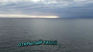 🌀 Страна Сэфестия! 💧 ＂ОТКРЫТЫЙ ТИХИЙ ОКЕАН＂ ⛵🐳