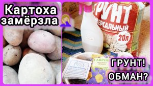Тестирую ГРУНТ /как они его измеряют/🧐картошка ЗАМЁРЗЛА😱