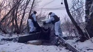 Расчеты гаубиц М-46 уничтожили позиции и живую силу ВСУ в Сумской области