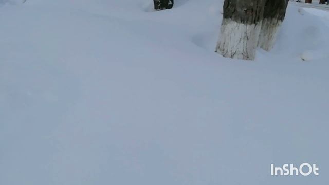 Первый день февральский