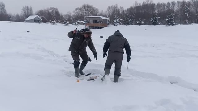 5717.mp4 смотреть онлайн