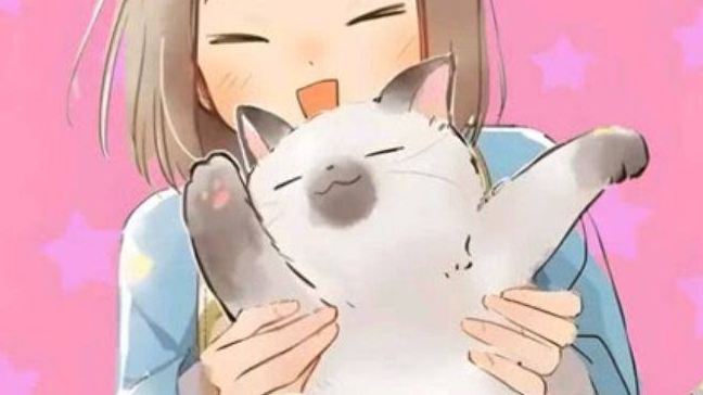 обзор как я пробую новую вкусняшку смотреть онлайн