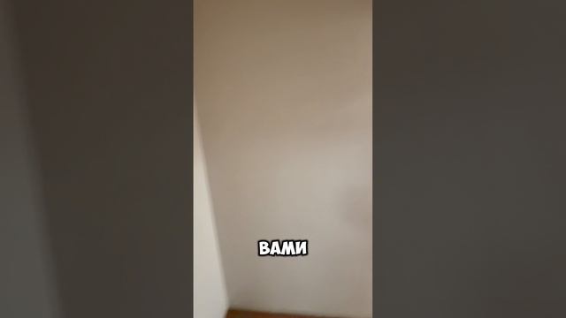 Аренда Советская 7 | Исторический Центр