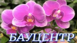 №1163/ «ШОУ ОРХИДЕЙ» в БАУЦЕНТРЕ смотреть онлайн