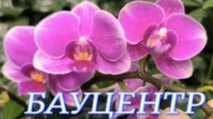 №1163/ «ШОУ ОРХИДЕЙ» в БАУЦЕНТРЕ