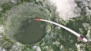 ТЫСЯЧИ РЫБ СЛОЯМИ... ЗАБРОСИЛ ТУДА УДОЧКУ!! Зимняя рыбалка на карася на мормышку